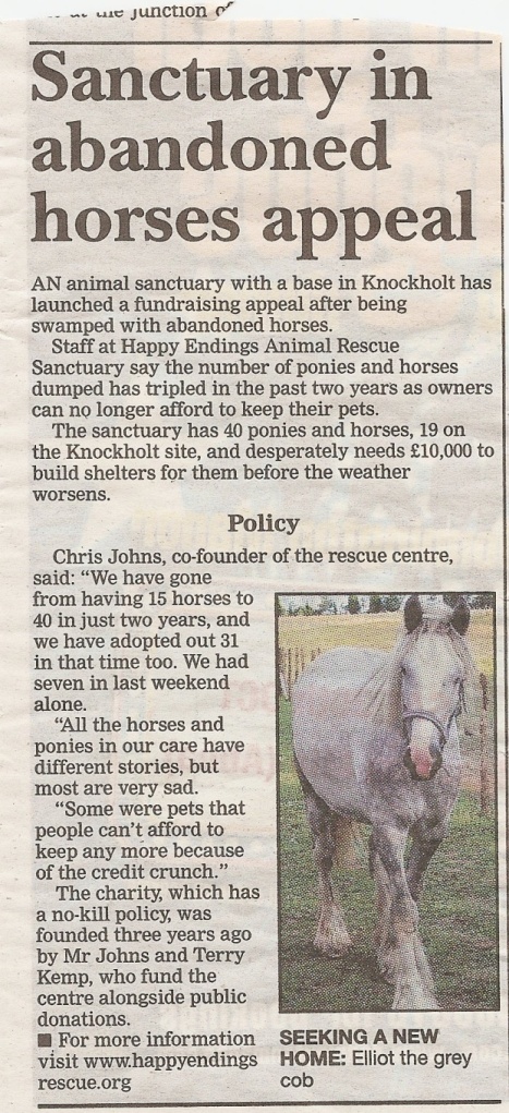 Horse article